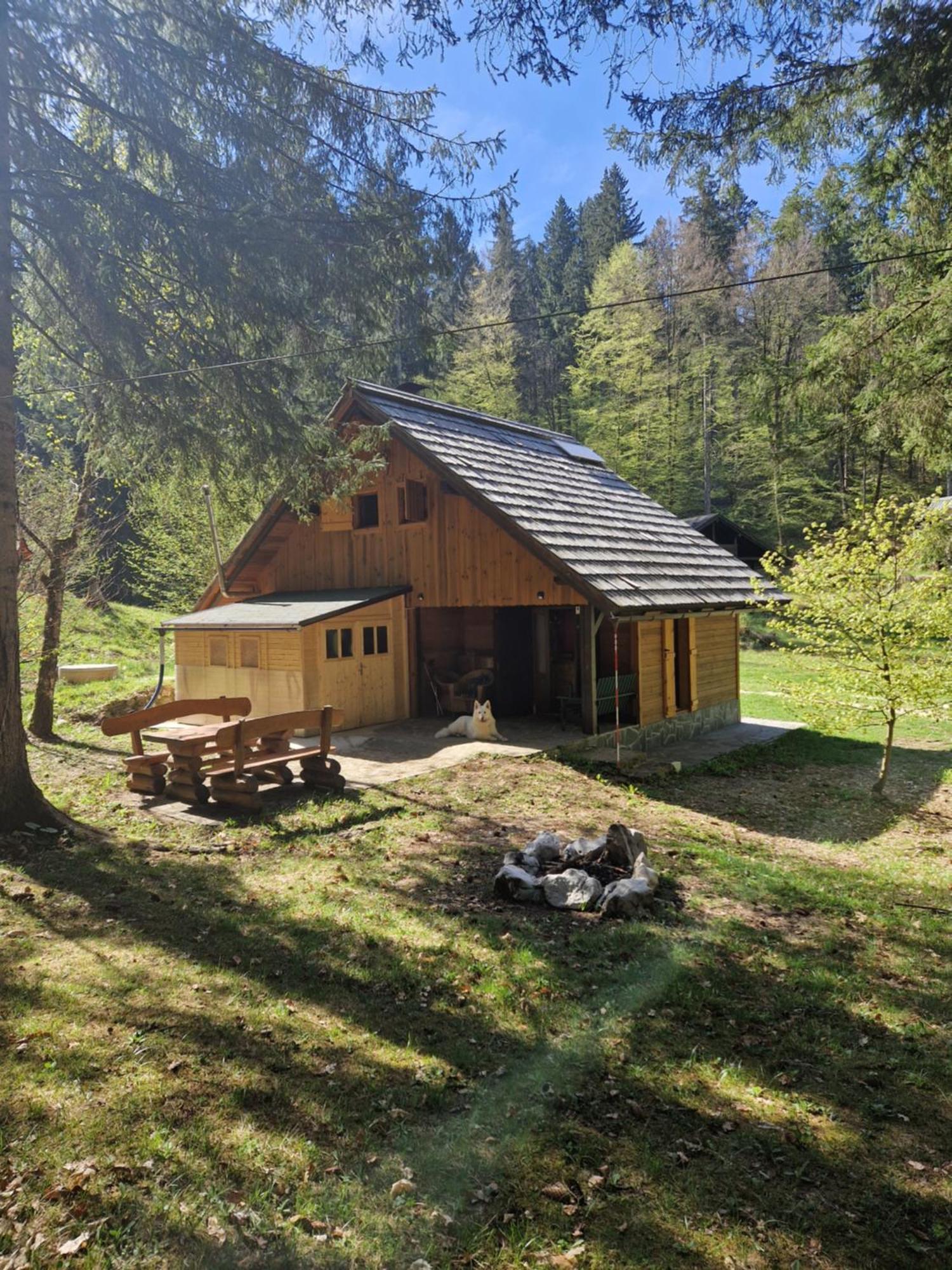 Koca V Gozdu, Forest House Near Bled Exterior foto