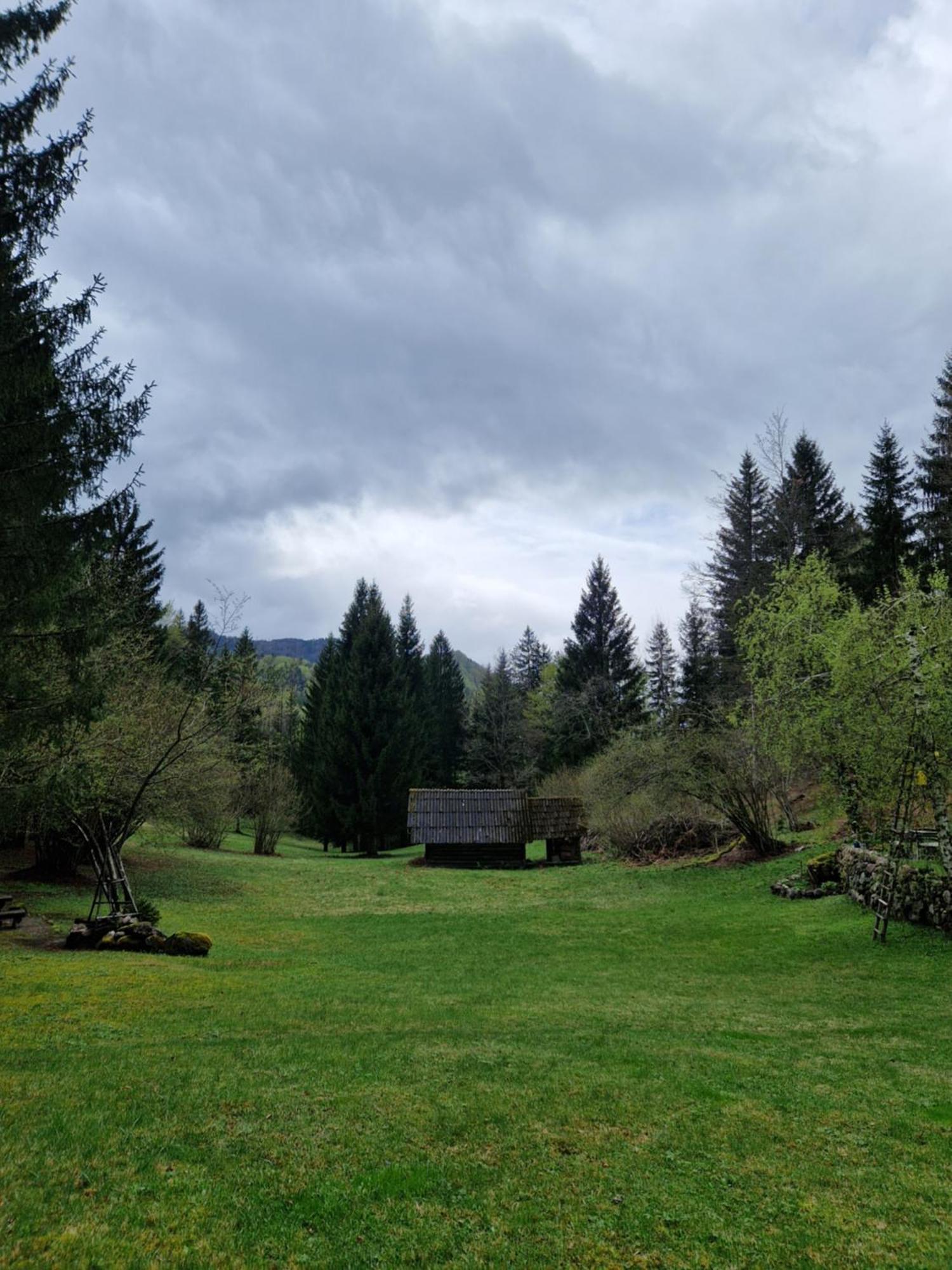Koca V Gozdu, Forest House Near Bled Zimmer foto